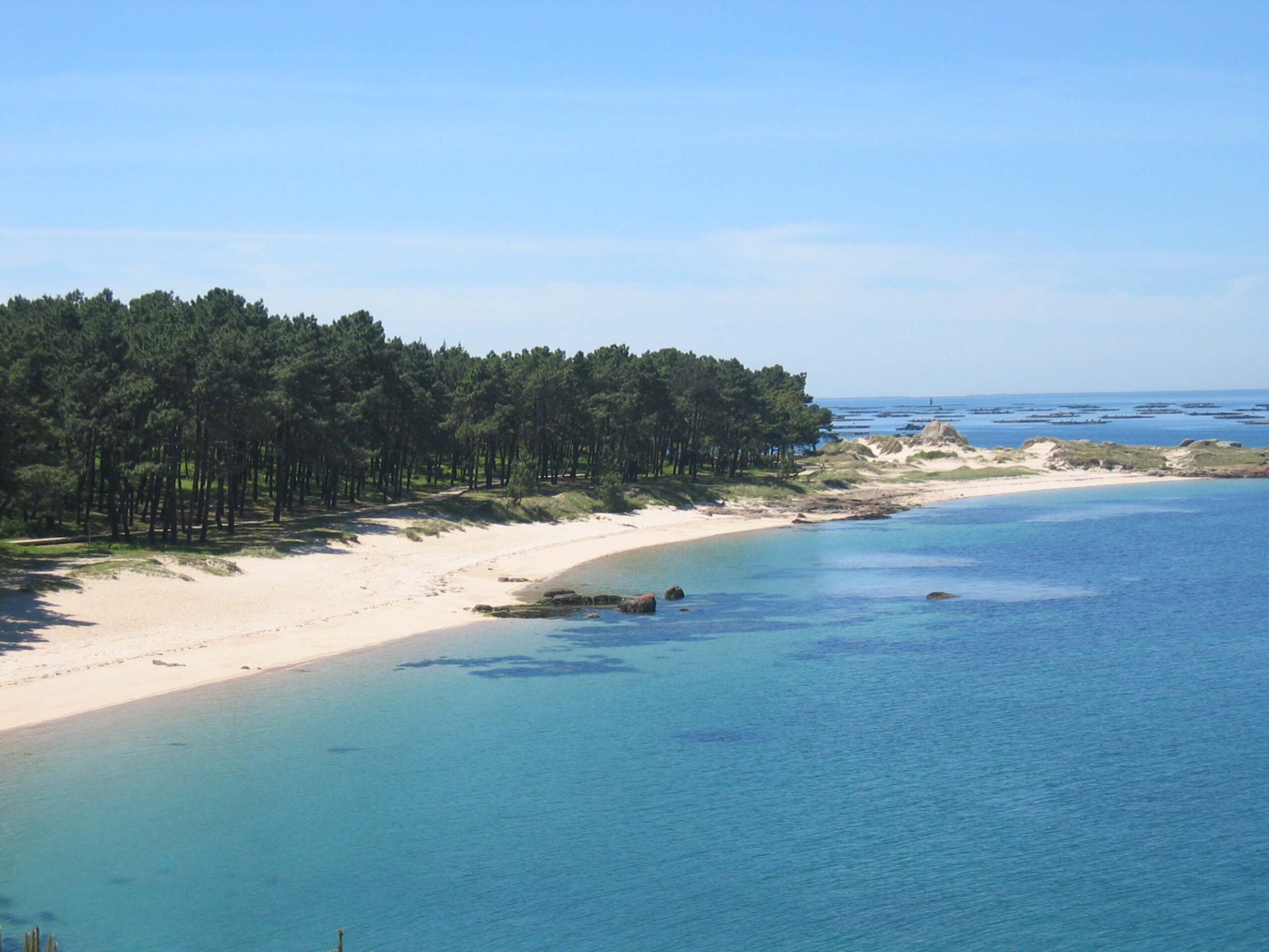 Area da Secada, Rías Baixas — excursión barco con licencia O Grove